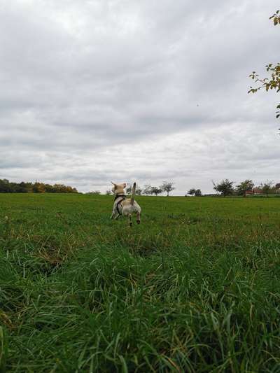 Fotochallenge Nr. 52 „Spring!“-Beitrag-Bild