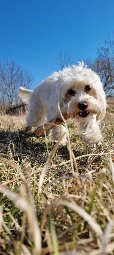 Wald Bild-Beitrag-Bild