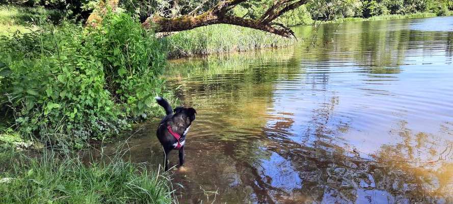 Theos Fotochallange Nummer 4-Beitrag-Bild