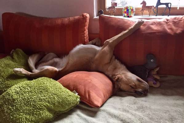 Die unbequemsten und lustigsten Schlafpositionen-Beitrag-Bild