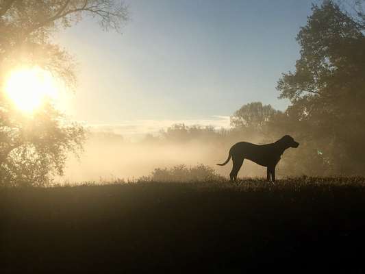 SonnenSTRAHLEN-Beitrag-Bild