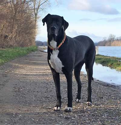 Sie werden so schnell groß!-Beitrag-Bild