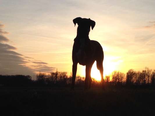 Fotochallange Nr.53 "HALLOWEEN"-Beitrag-Bild