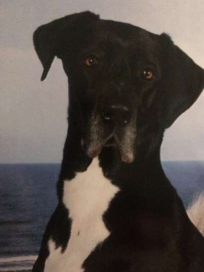 Zeigt eure Portraits-Beitrag-Bild