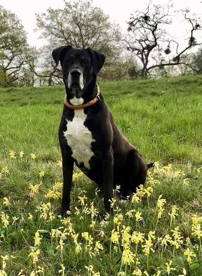 9.Farben-Fotochallenge            Gelb-Beitrag-Bild