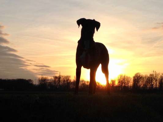 2. Farben/Fotochallenge: Dämmerungsbild, Silhouette-Beitrag-Bild