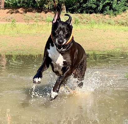 Handy-foto Challange nr. 11-Beitrag-Bild