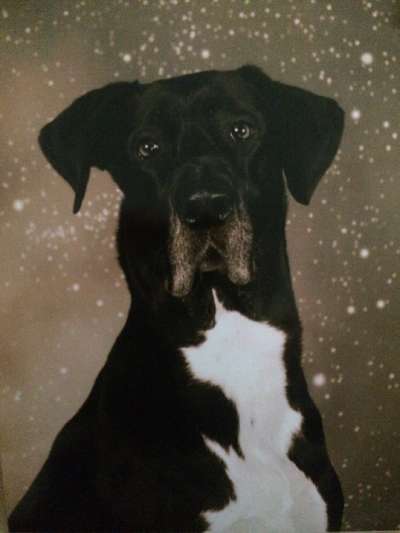 Foto-Challenge 76: Foto in Schwarz-Weiss-Beitrag-Bild