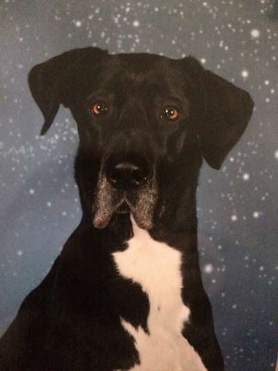 Fotochallange Nr. 57     PORTRÄT.   Beendet!!!!!!!!-Beitrag-Bild