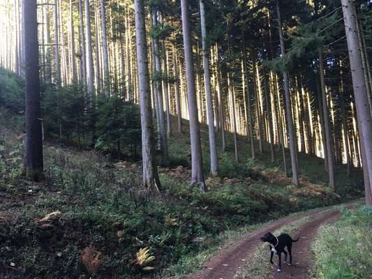 Foto Challenge Nr. 79-Beitrag-Bild