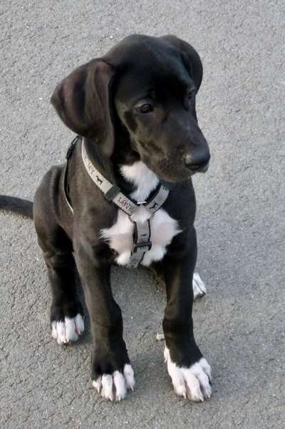 Erstes Bild-Beitrag-Bild