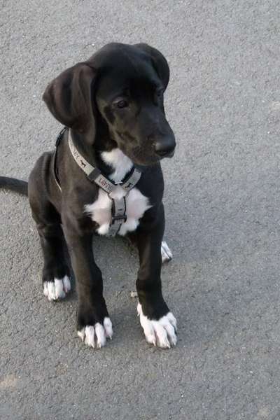 Sie werden so schnell groß!-Beitrag-Bild