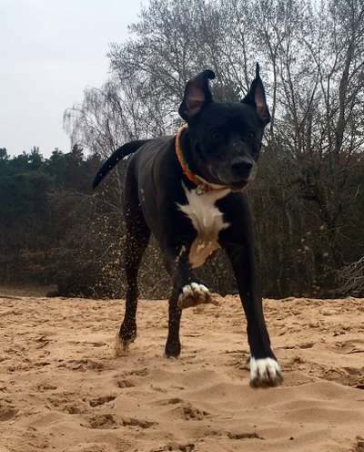 Was können eure Ohren so? ;)-Beitrag-Bild