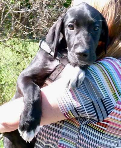 Fotochallange Nummer 5-Beitrag-Bild