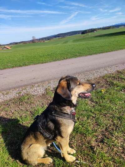 30. Collagen Challenge - Wege/Straßen-Beitrag-Bild