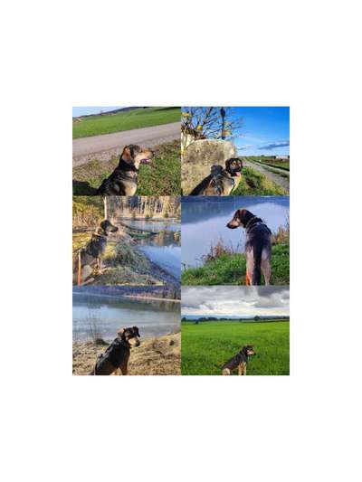 30. Collagen Challenge - Wege/Straßen-Beitrag-Bild