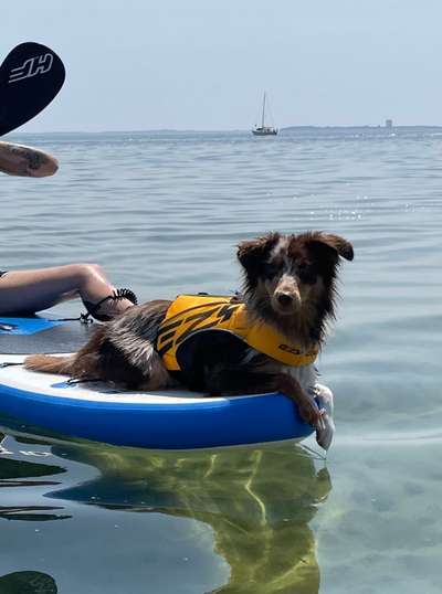 Fotochallenge Nr.100 Urlaubsimpressionen-Beitrag-Bild