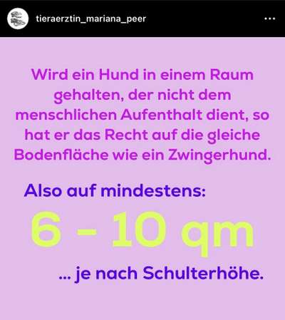 Geschlossene Hundebox immer Tierschutzwiedrig?-Beitrag-Bild