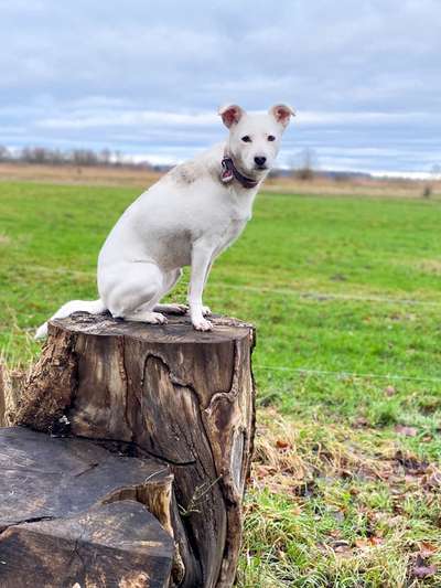 27. Handy Fotochallenge-Beitrag-Bild