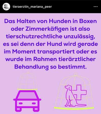 Geschlossene Hundebox immer Tierschutzwiedrig?-Beitrag-Bild