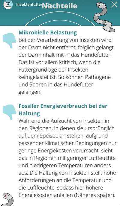 Futter auf Insektenbasis-Beitrag-Bild