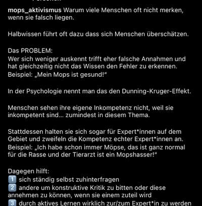 Brachycephale Hunderassen-Beitrag-Bild