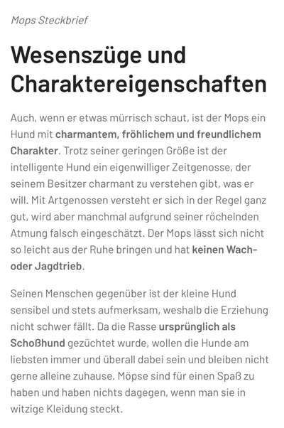 Brachycephale Hunderassen-Beitrag-Bild