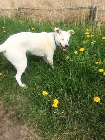 Hier ist der Spaßthread. Zum Schmunzeln und Kaputtlachen-Beitrag-Bild