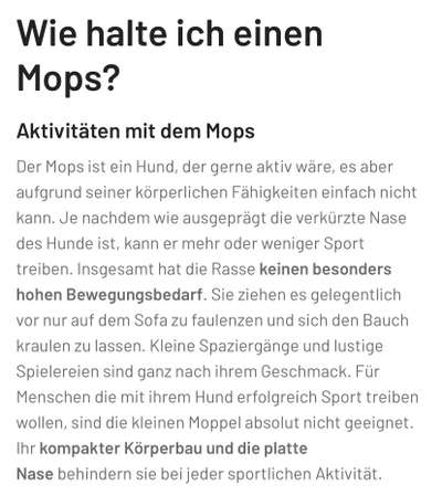 Brachycephale Hunderassen-Beitrag-Bild