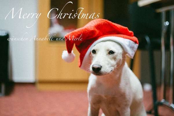 It's beginning to look a lot like.....-Beitrag-Bild