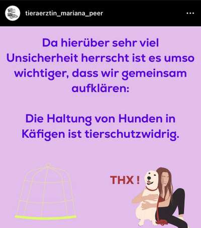 Geschlossene Hundebox immer Tierschutzwiedrig?-Beitrag-Bild