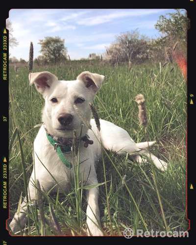 Fotochallenge No. 26                                     Wald und Wiese-Beitrag-Bild