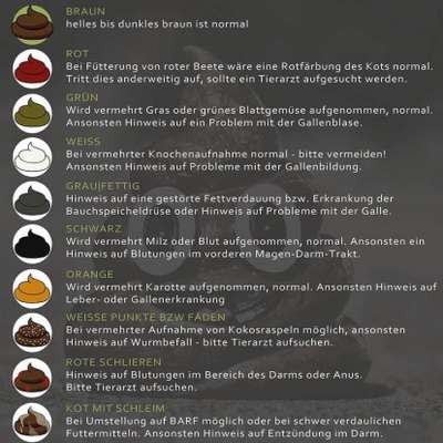 Verdauung-Beitrag-Bild