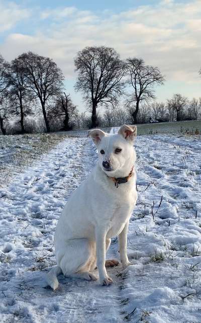 Der erste Schnee, zeigt uns eure tollen Schneemomente-Beitrag-Bild