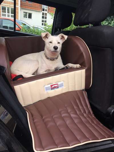 Sicherung im Auto (Rückbank)-Beitrag-Bild