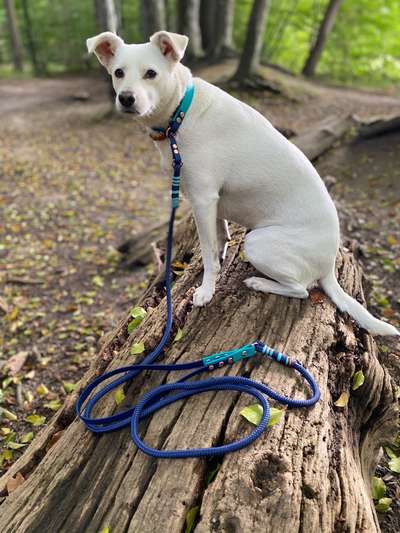 Gentests / skurrile Ergebnisse ;)-Beitrag-Bild