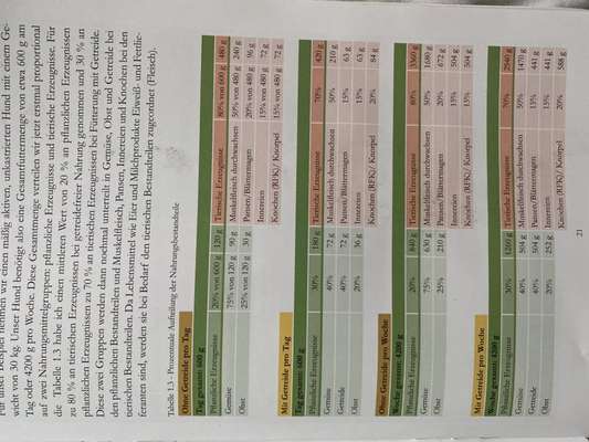 Barfen, wie macht ihr es?-Beitrag-Bild