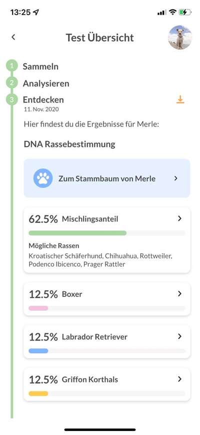 Gentests / skurrile Ergebnisse ;)-Beitrag-Bild
