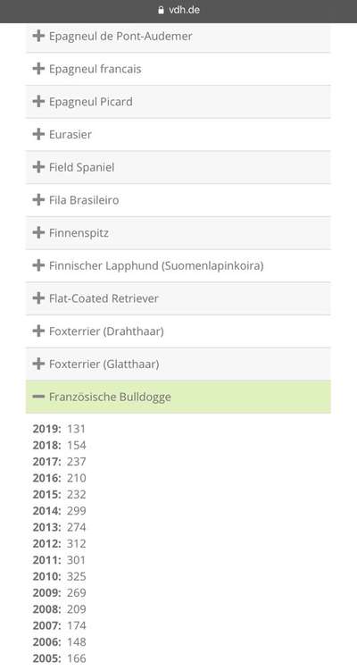Brachycephale Hunderassen-Beitrag-Bild