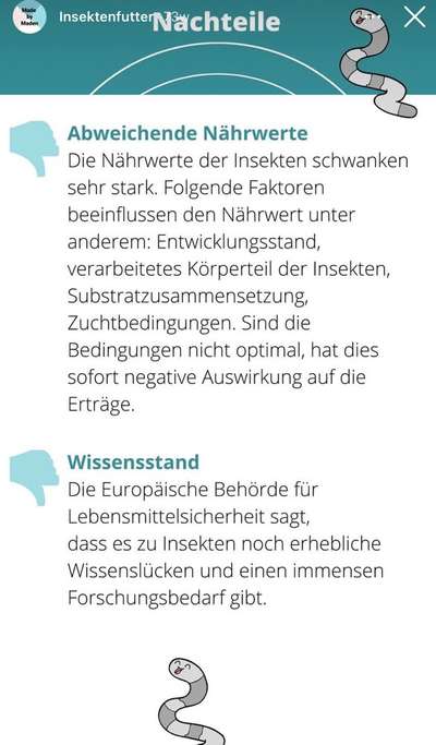 Futter auf Insektenbasis-Beitrag-Bild
