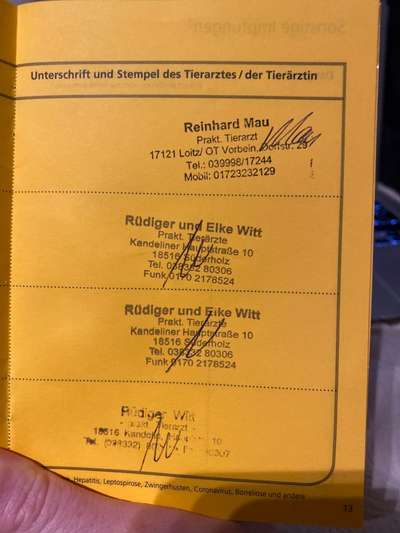 Hund aus Bulgarien ?-Beitrag-Bild