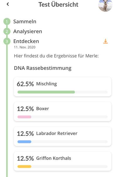 Rassetest-Beitrag-Bild