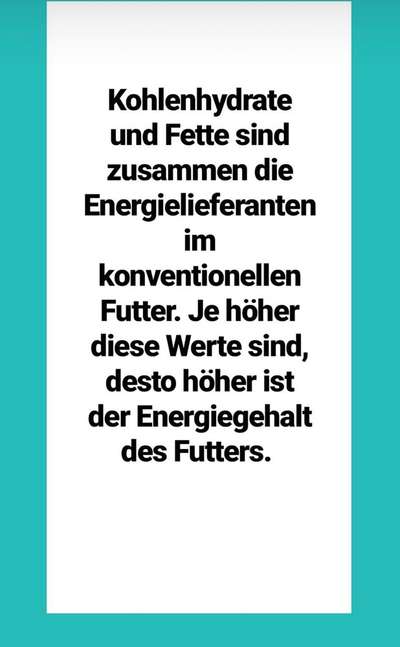 Trockenfutter gut und günstig-Beitrag-Bild