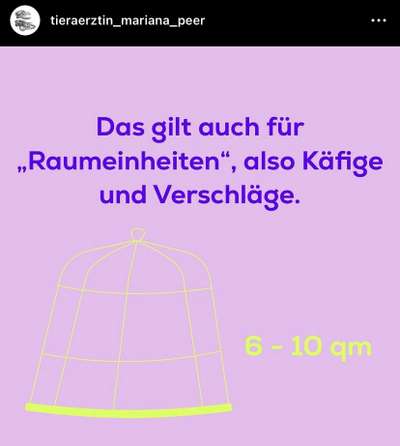 Geschlossene Hundebox immer Tierschutzwiedrig?-Beitrag-Bild