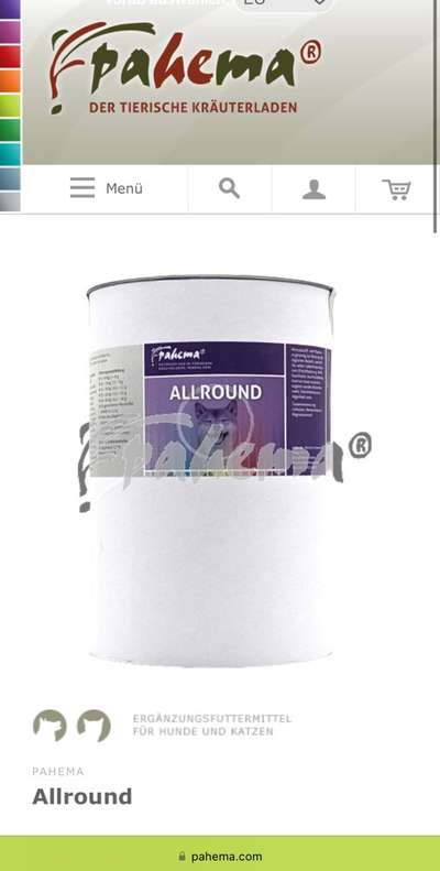 Ständiger Durchfall-Beitrag-Bild