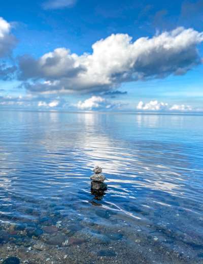 Die wunderschöne Welt mit Hund.-Beitrag-Bild