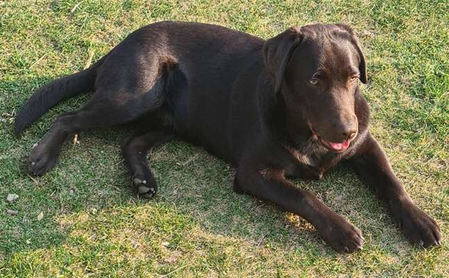 Fotowettbewerb Natur-Beitrag-Bild