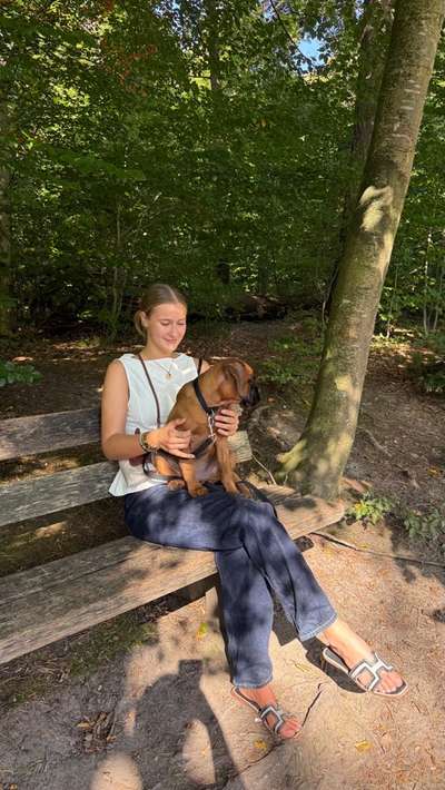 Hundetreffen-Welpentreffen / Spielrunde-Bild