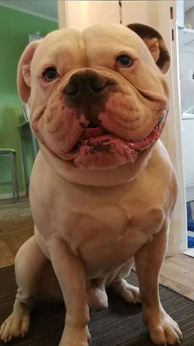 Immer lächeln !-Beitrag-Bild