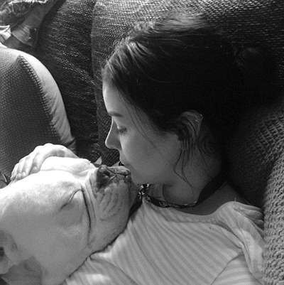 Schmusebilder-Beitrag-Bild